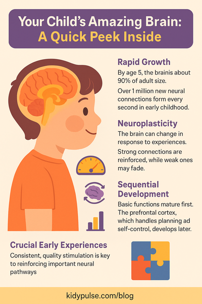 Colorful infographic titled "Your Child's Amazing Brain: A Quick Peek Inside," showing a brain illustration with labeled facts about early childhood brain development, including rapid growth, neuroplasticity, and the role of experiences in shaping learning and emotions.