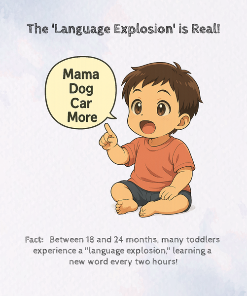 infographic showing Vocabulary explosion development for child